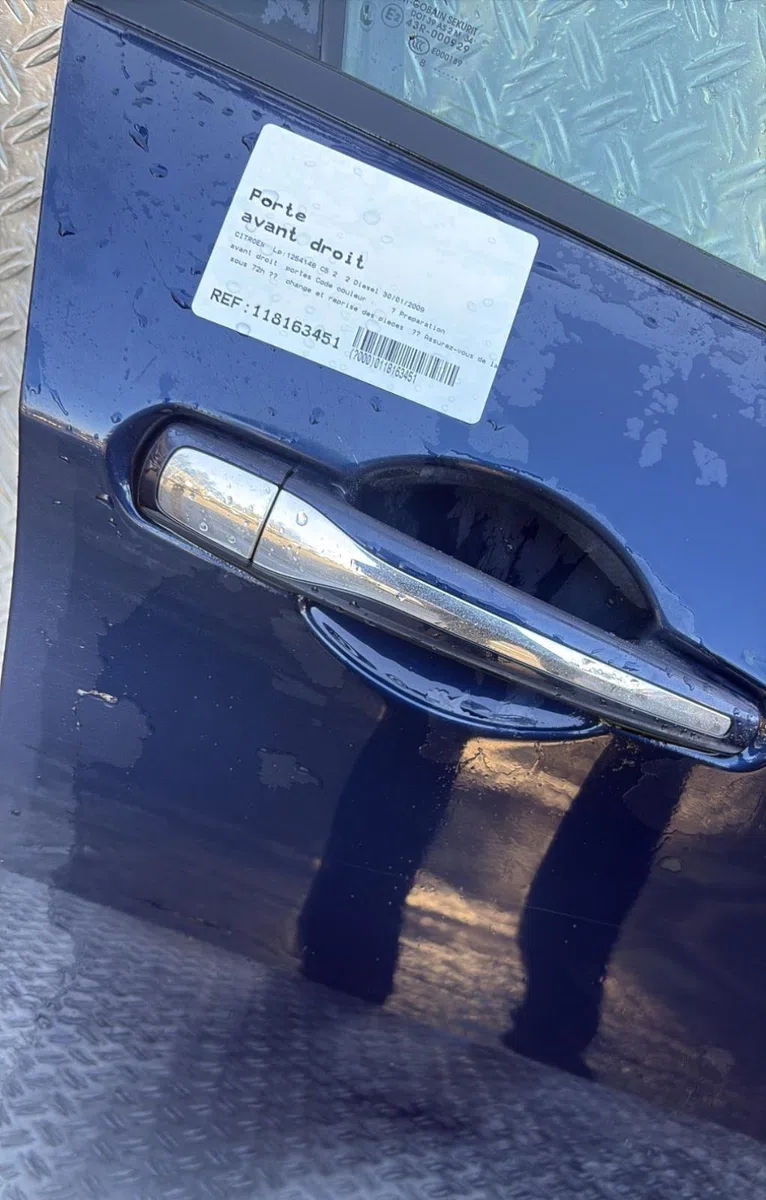 Porte avant droite Citroen C5 III (RD_) 2.0 hdi (rdrhda) (2008) occasion