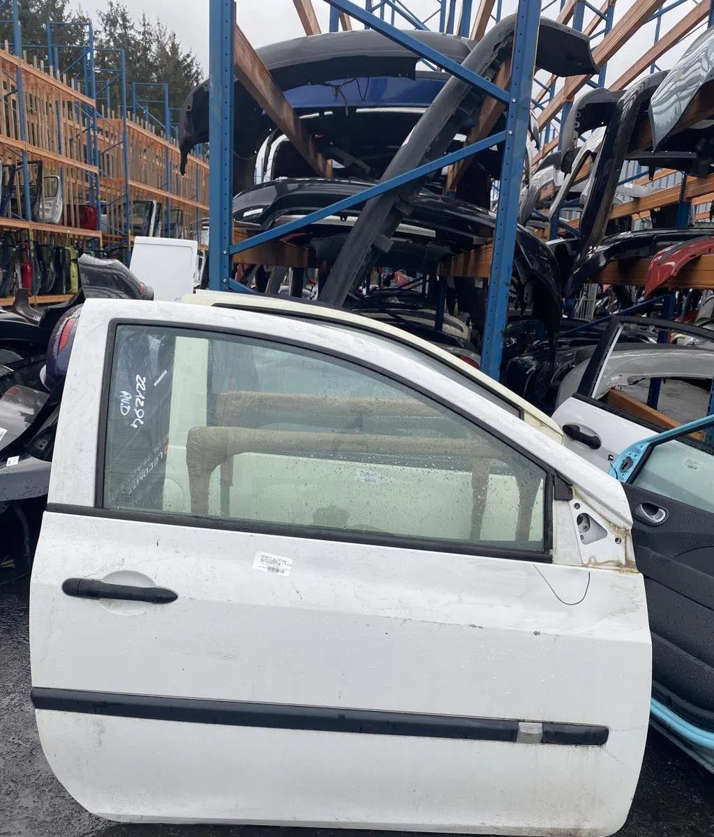 Porte avant droite RENAULT CLIO 3 PHASE 1 occasion