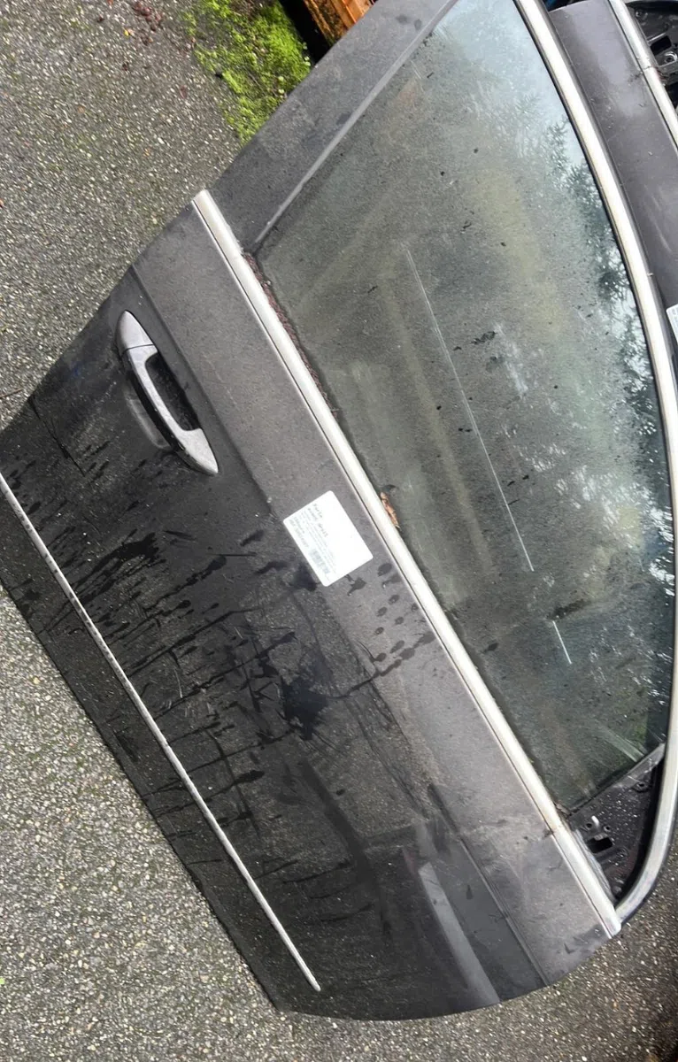 Porte avant droite Volkswagen PASSAT B6 Variant (3C5) 1.9 tdi (2005-2010) occasion