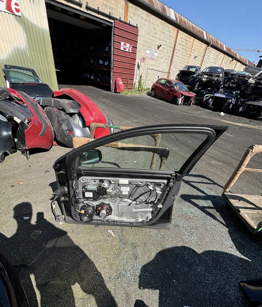 Porte avant droite Volkswagen PHAETON (3D1, 3D2, 3D3, 3D4, 3D6, 3D7, 3D8, 3D9) 5.0 v10 tdi 4motion (2002-2006) occasion