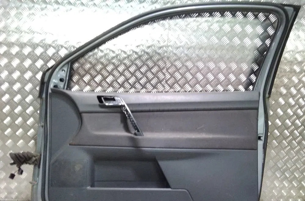 Porte avant droite VOLKSWAGEN POLO 2009 occasion