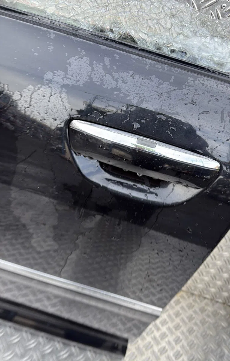 Porte avant gauche Audi A8 D3 (4E2, 4E8) 4.2 tdi quattro (2005-2005) occasion