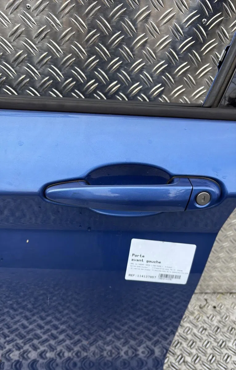 Porte avant gauche Bmw 1 (F20) 120 d (2011-2015) occasion