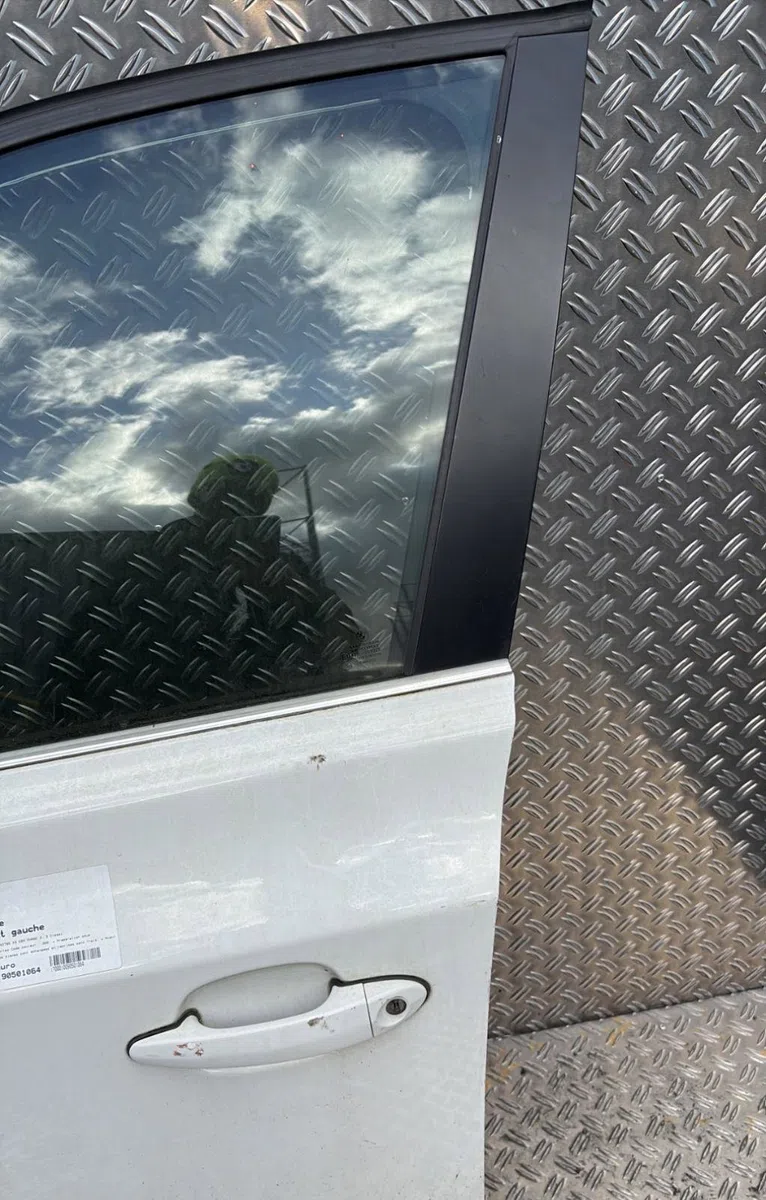 Porte avant gauche Bmw X3 (E83) 3.0 sd (2006-2008) occasion