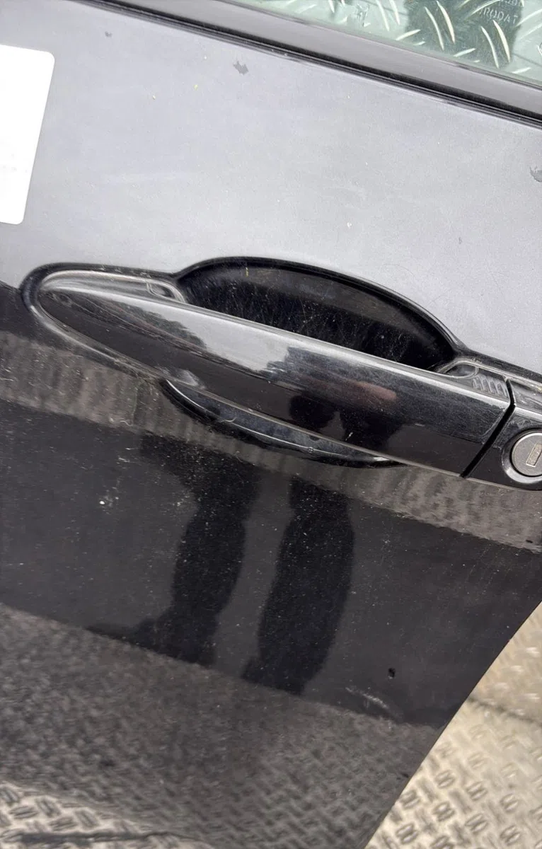 Porte avant gauche Bmw X6 (E71, E72) Xdrive 40 d (2009-2014) occasion