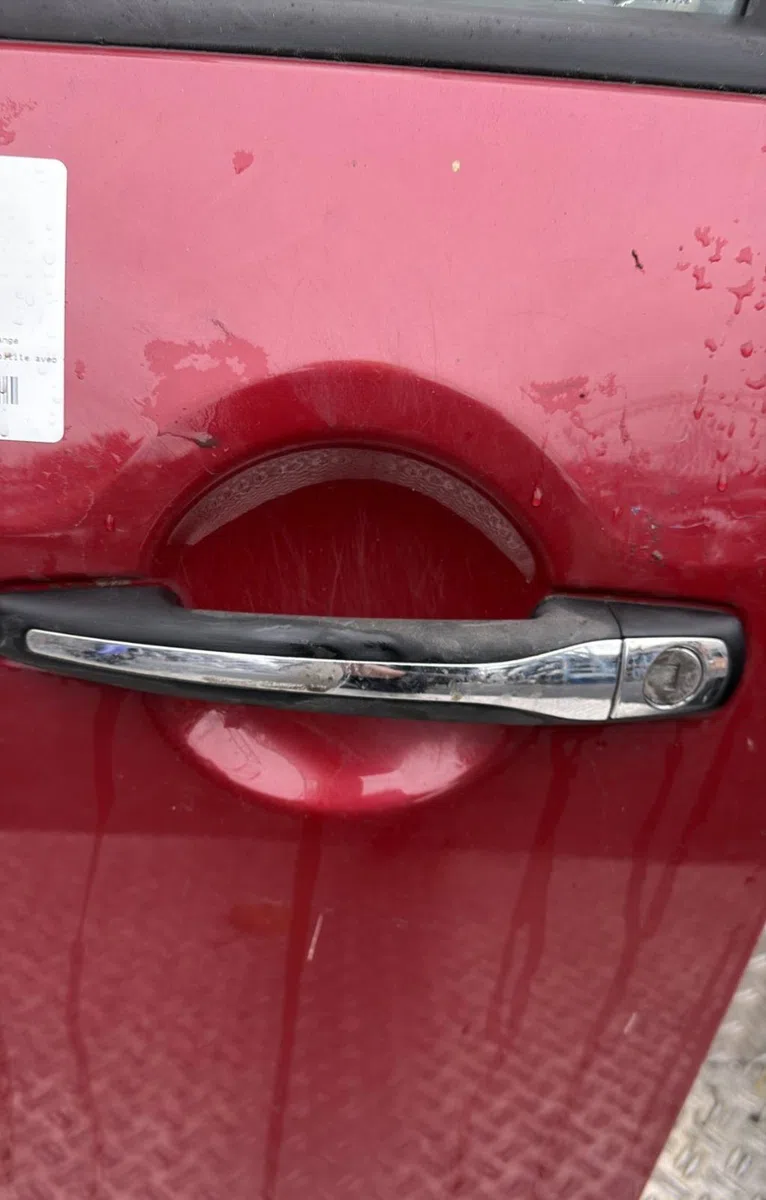 Porte avant gauche Citroen C3 PICASSO (SH_) 1.6 hdi 90 (2010) 5 portes occasion