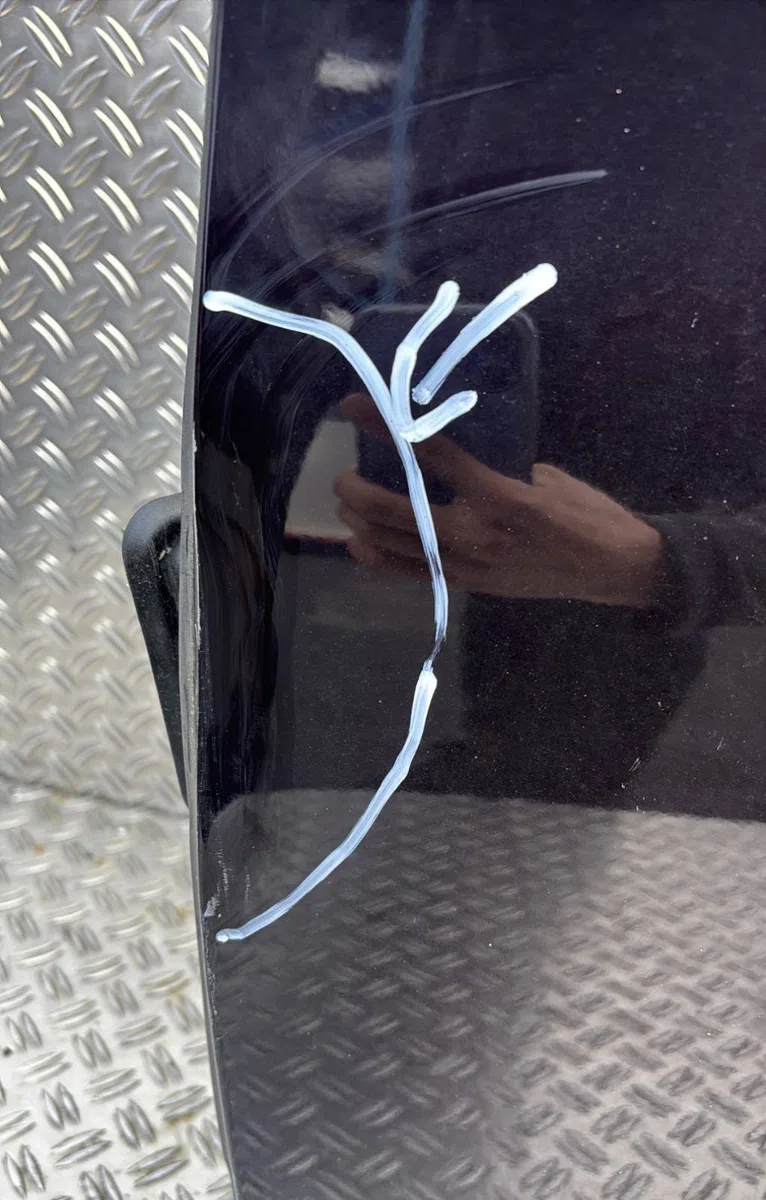 Porte avant gauche Ds DS 5 (KF_) 2.0 bluehdi 180 (2015-2018) occasion