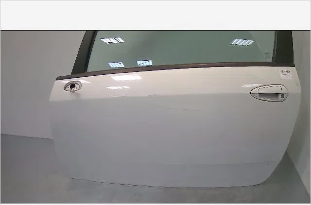 Porte avant gauche Fiat GRANDE PUNTO (199_) 1.3 d multijet (2008) occasion
