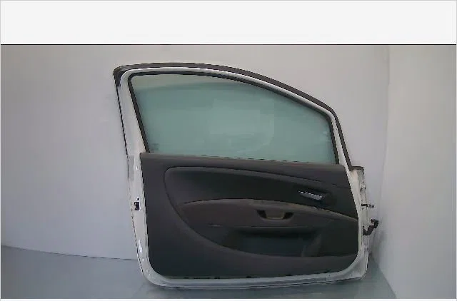 Porte avant gauche Fiat GRANDE PUNTO (199_) 1.3 d multijet (2008) occasion