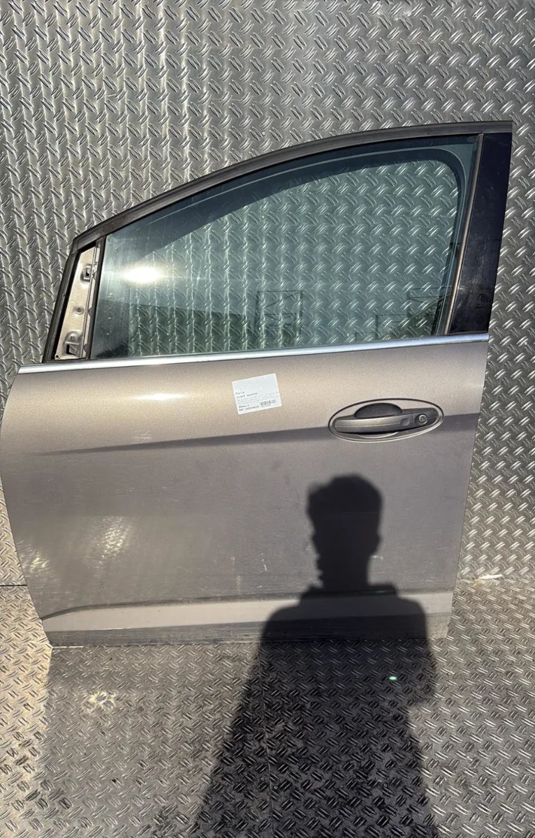 Porte avant gauche Ford C-MAX II (DXA-CB7, DXA-CEU) 2.0 tdci (2010-2019) occasion