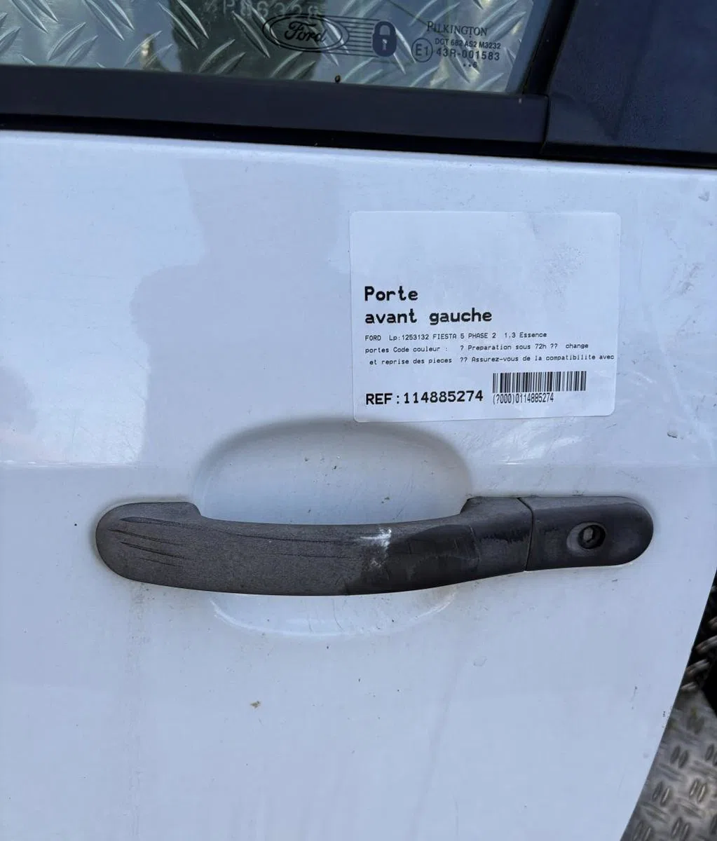 Porte avant gauche Ford FIESTA V (JH_, JD_) 1.3 (2001-2008) 3 portes occasion