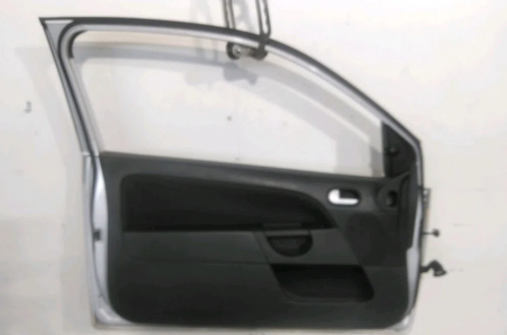 Porte avant gauche Ford FIESTA V (JH_, JD_) 1.6 16v (2001-2008) occasion