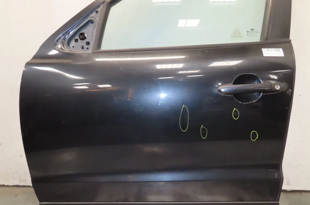 Porte avant gauche Hyundai SANTA FÉ II (CM) 2.2 crdi (2006-2012) occasion