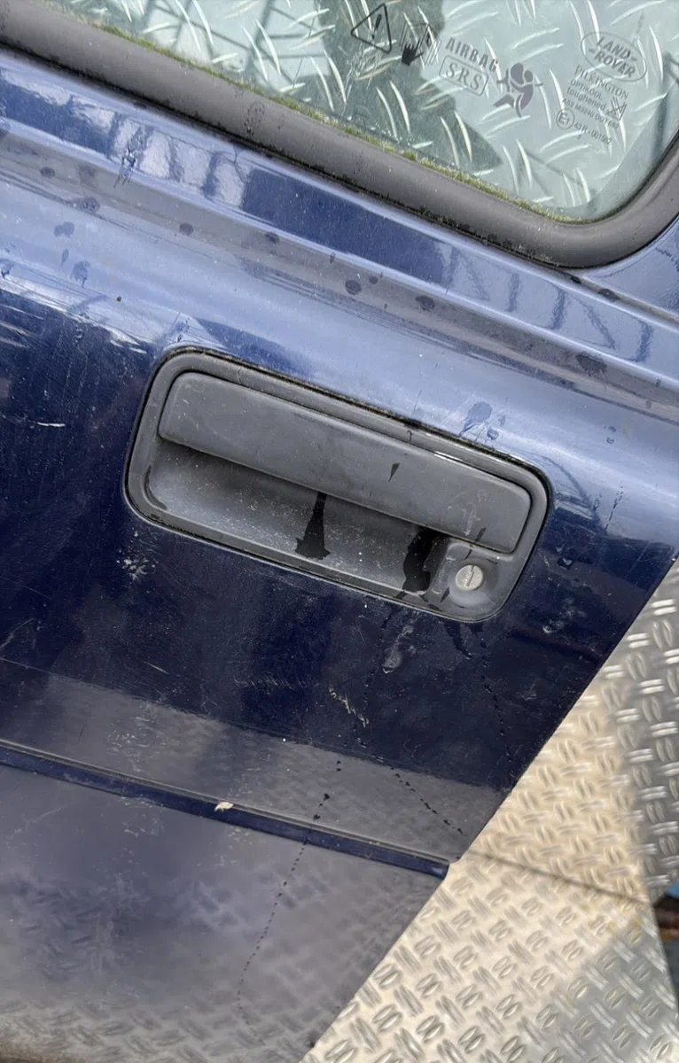 Porte avant gauche Land rover FREELANDER I (L314) 2.0 td4 4x4 (2000-2006) occasion