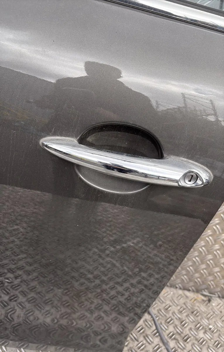 Porte avant gauche Mini MINI COUNTRYMAN (R60) Cooper d all4 (2011-2016) occasion