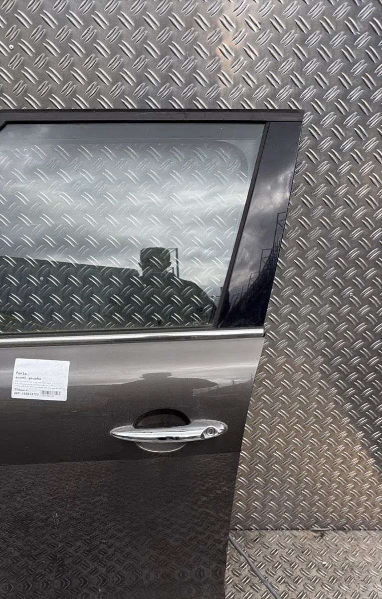 Porte avant gauche Mini MINI COUNTRYMAN (R60) Cooper d all4 (2011-2016) occasion