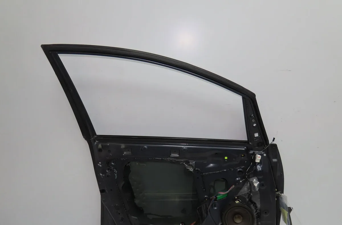 Porte avant gauche Mitsubishi GRANDIS (NA_W) 2.0 di-d (na8w) (2005-2010) occasion
