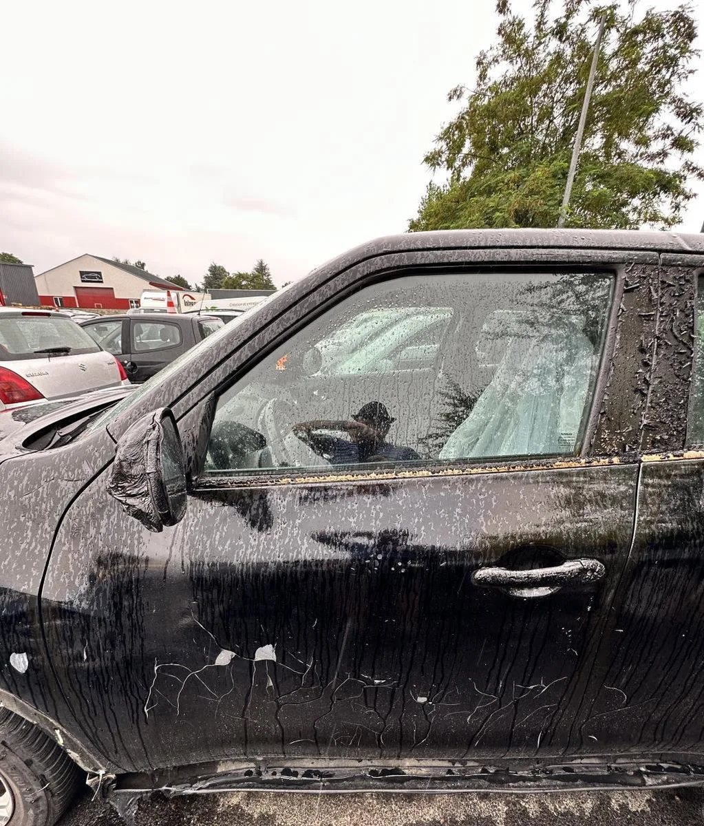 Porte avant gauche NISSAN JUKE 1 PHASE 1 occasion