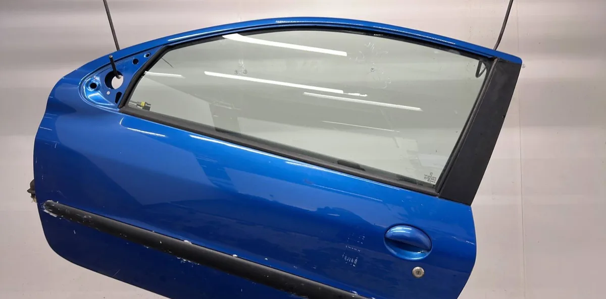 Porte avant gauche PEUGEOT 206 PHASE 2 occasion