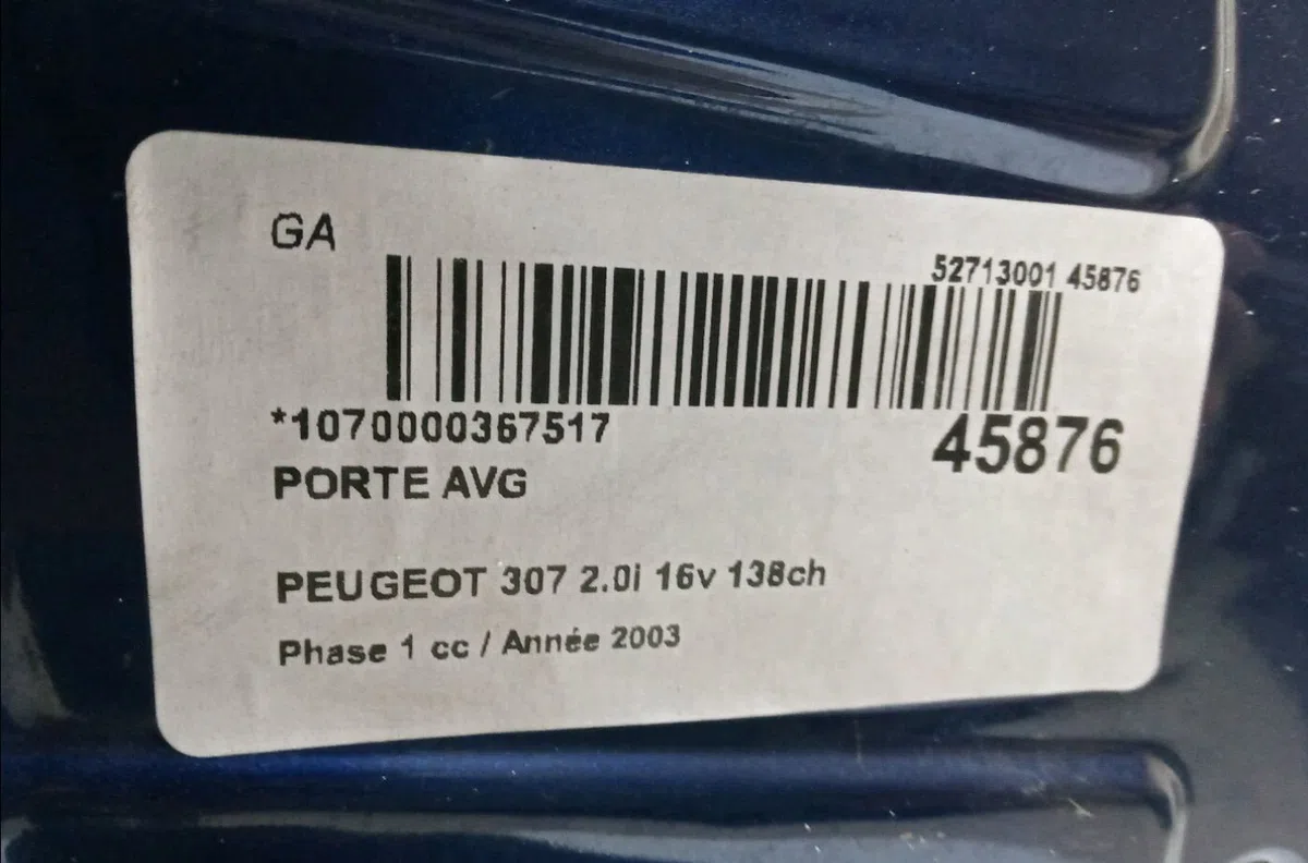 Porte avant gauche Peugeot 307 (3A-C) 2.0 16v (2000-2005) occasion