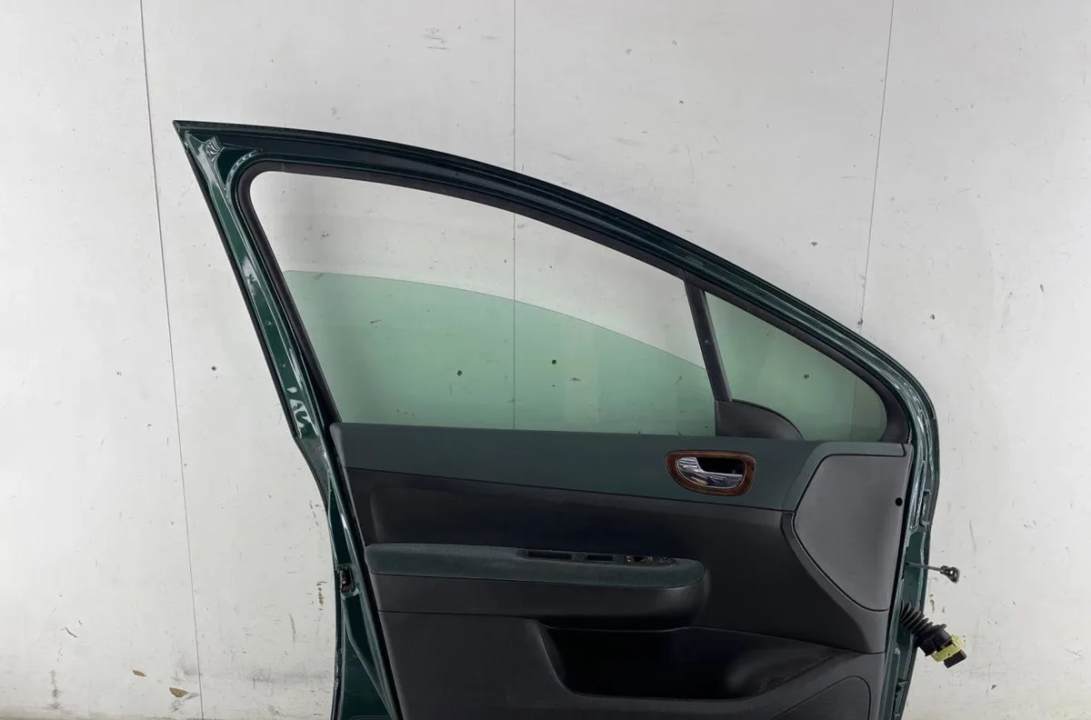 Porte avant gauche PEUGEOT 307 PHASE 1 occasion