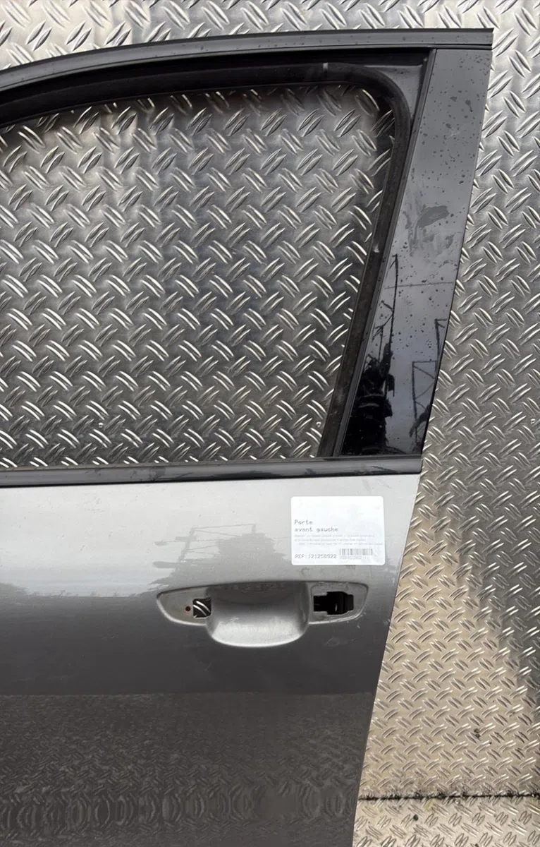 Porte avant gauche Porsche CAYENNE (92A) 3.0 diesel (2010) occasion
