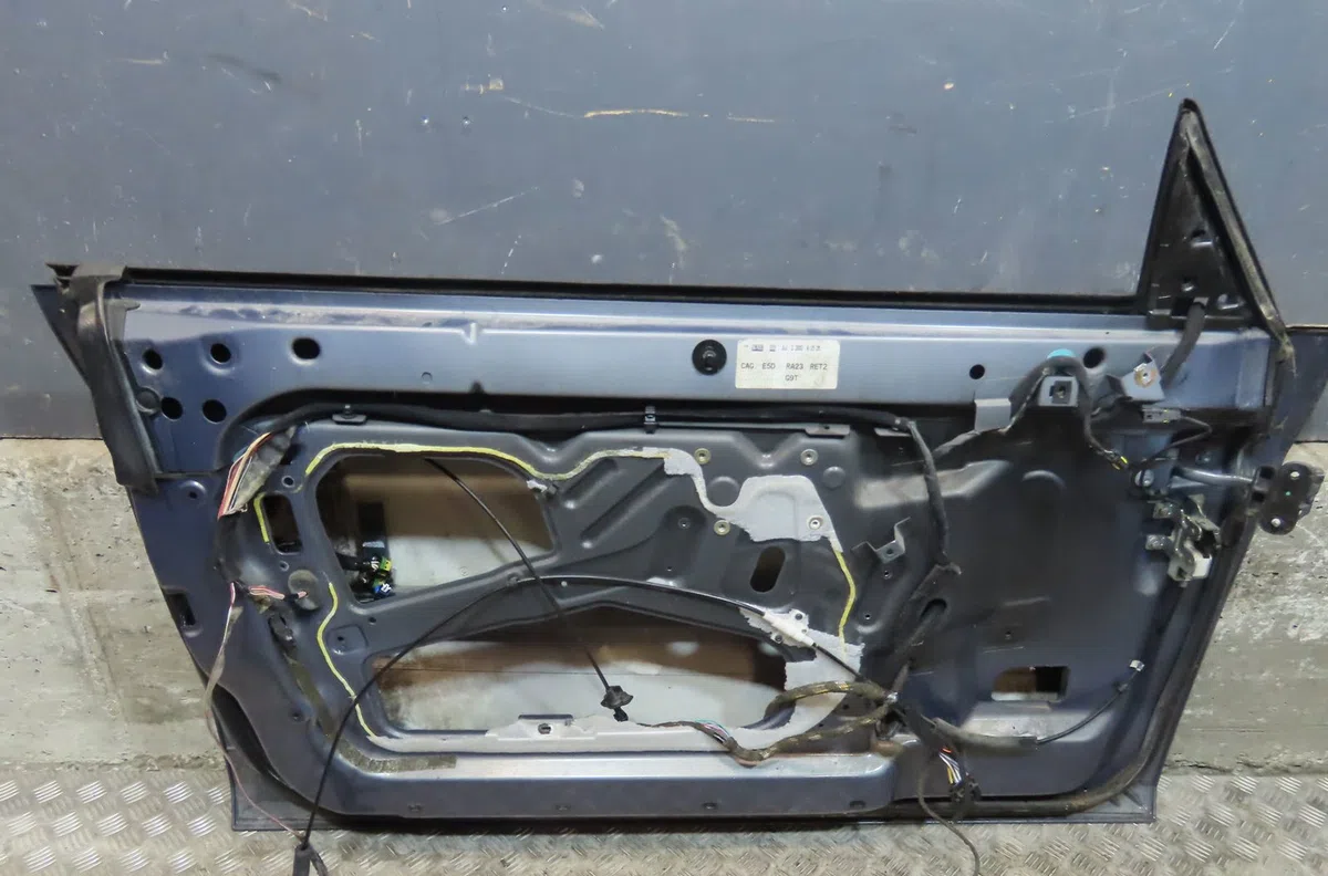 Porte avant gauche Renault AVANTIME (DE0_) 2.2 dci (de01) (2002-2003) occasion