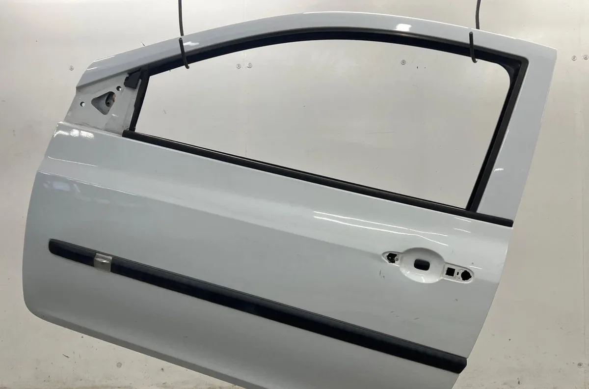 Porte avant gauche RENAULT CLIO 3 PHASE 1 occasion