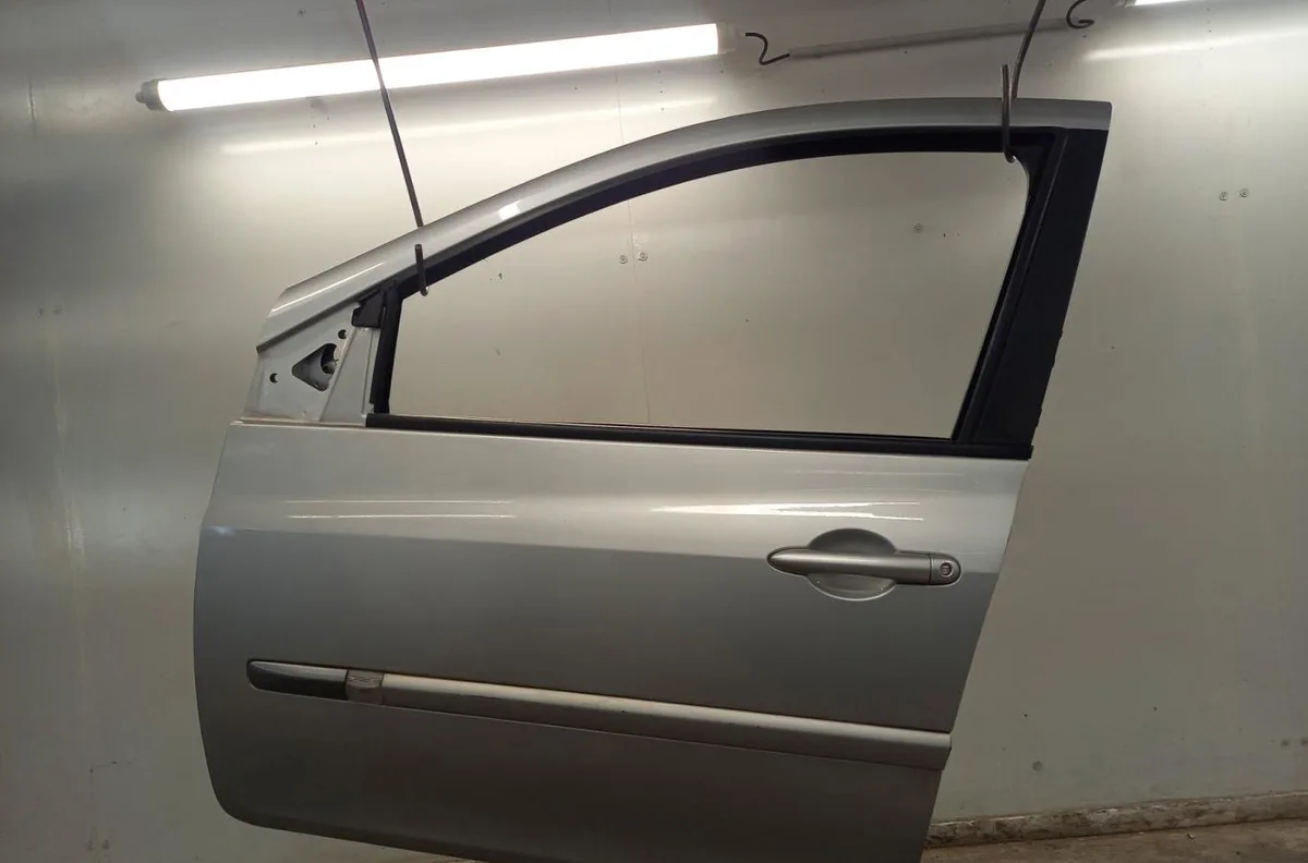 Porte avant gauche RENAULT CLIO 3 PHASE 2 BREAK occasion