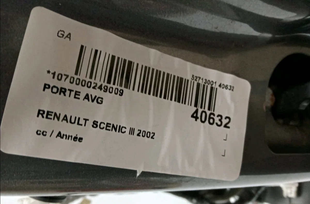 Porte avant gauche RENAULT GRAND SCENIC III 2002 occasion