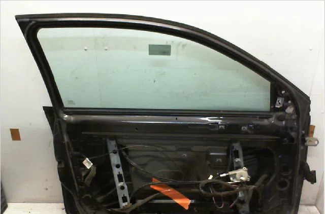Porte avant gauche RENAULT MEGANE II occasion