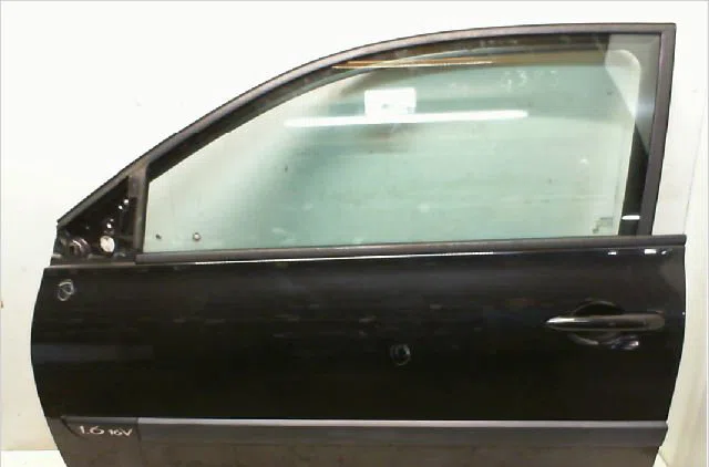 Porte avant gauche RENAULT MEGANE II occasion