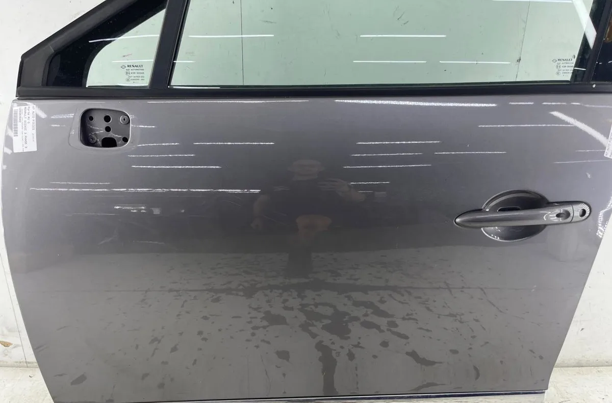 Porte avant gauche RENAULT SCENIC 3 PHASE 3 occasion