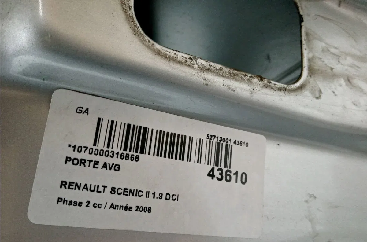 Porte avant gauche Renault SCÉNIC II (JM0-1_) 1.9 dci (jm14) (2005-2008) 5 portes occasion
