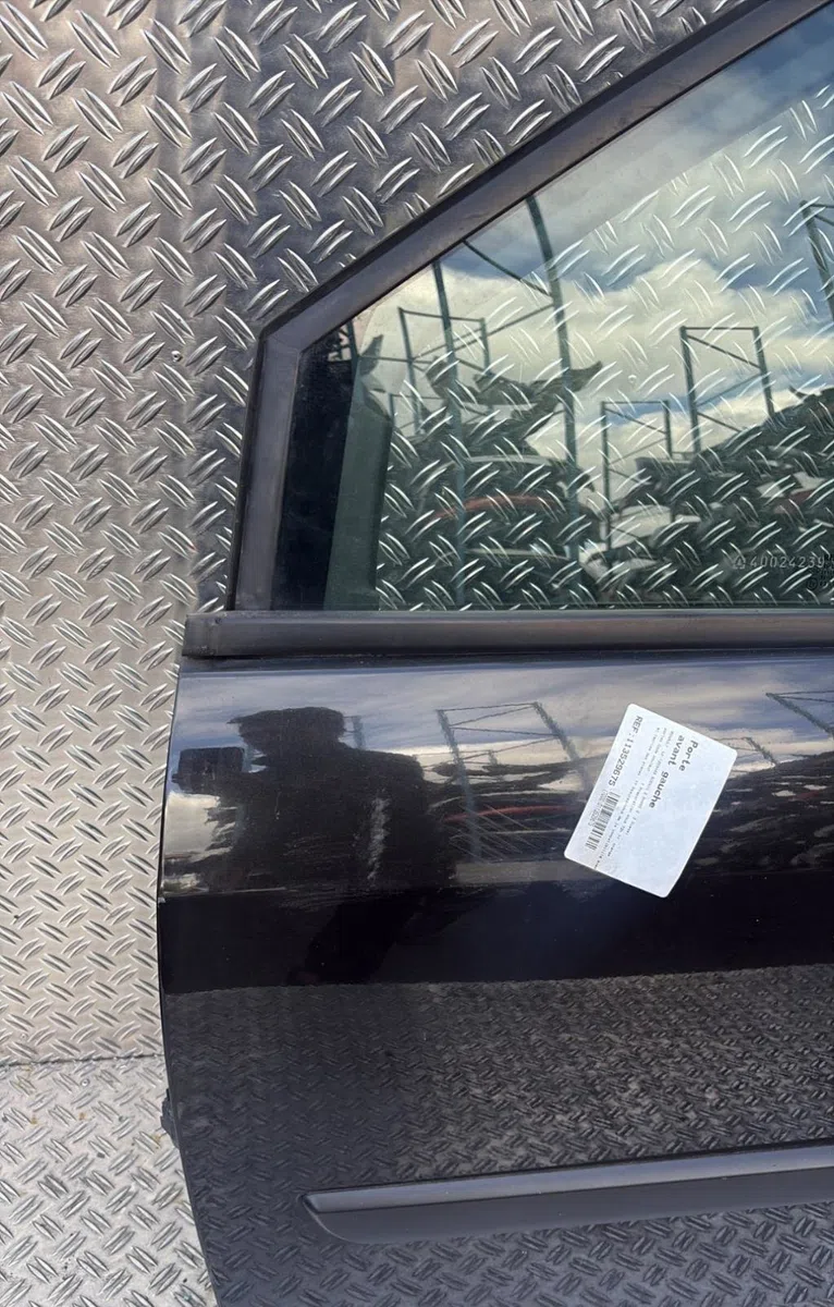 Porte avant gauche Renault SCÉNIC II (JM0-1_) 2.0 dci (jm1k) (2005-2008) occasion