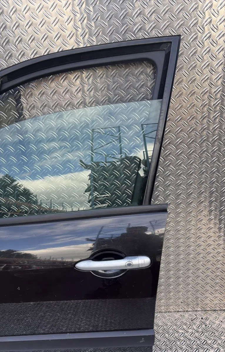 Porte avant gauche Renault SCÉNIC II (JM0-1_) 2.0 dci (jm1k) (2005-2008) occasion
