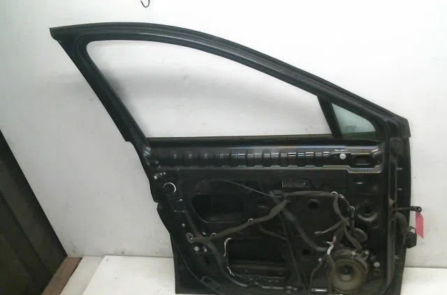 Porte avant gauche Renault SCÉNIC III (JZ0-1_) 1.9 dci (jz0j, jz1j, jz1k, jz1s) (2009) occasion
