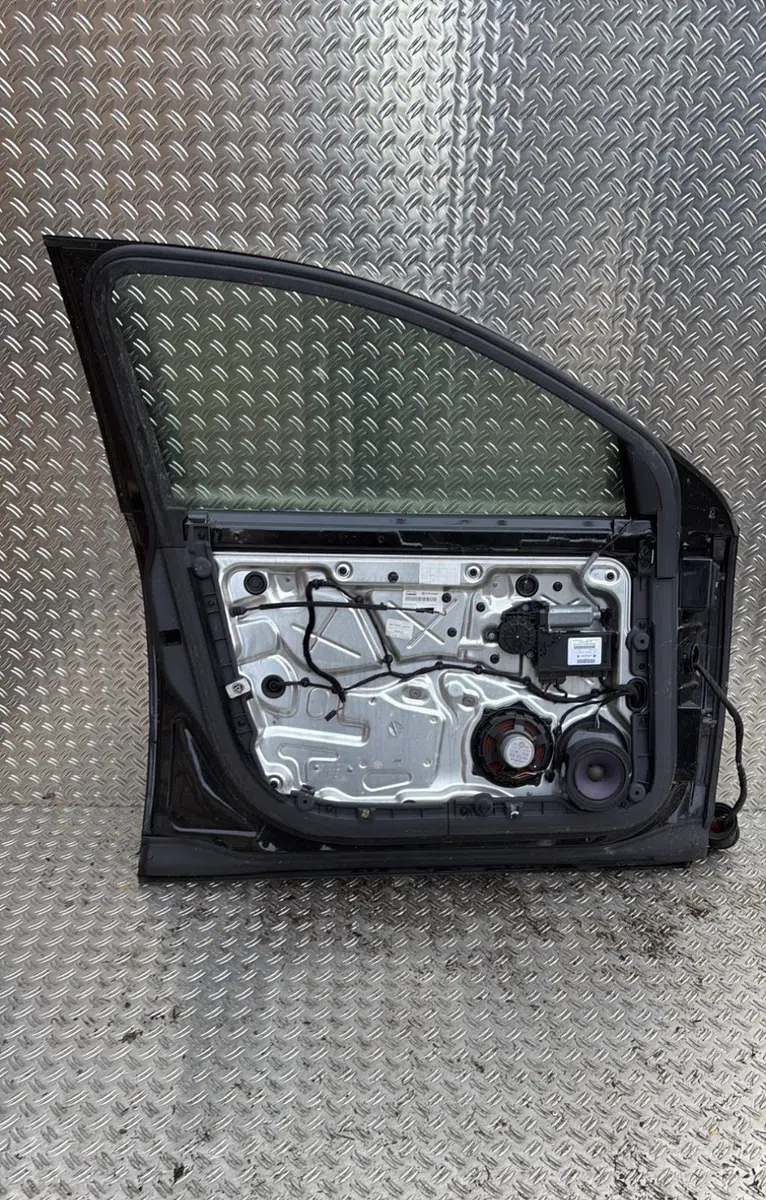 Porte avant gauche Volkswagen PHAETON (3D1, 3D2, 3D3, 3D4, 3D6, 3D7, 3D8, 3D9) 5.0 v10 tdi 4motion (2002-2006) occasion