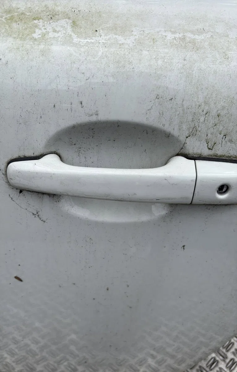 Porte avant gauche Volvo C30 (533) D2 (2010-2012) occasion