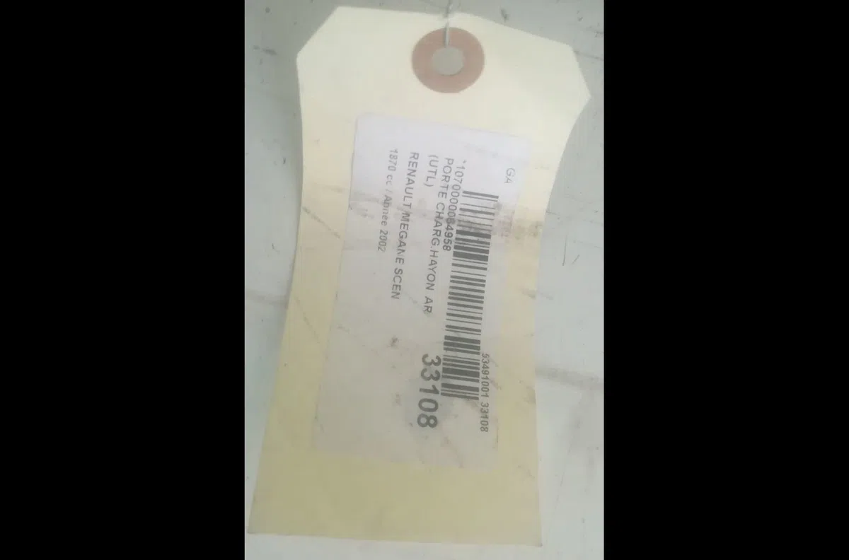 Porte charg.hayon  ar (utl) RENAULT SCENIC I 2002 occasion