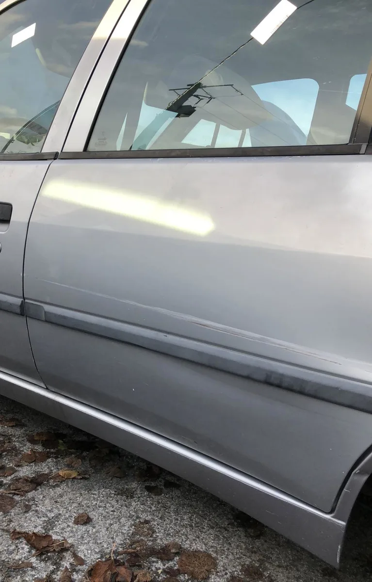 Protection porte arg RENAULT ESPACE 3 occasion