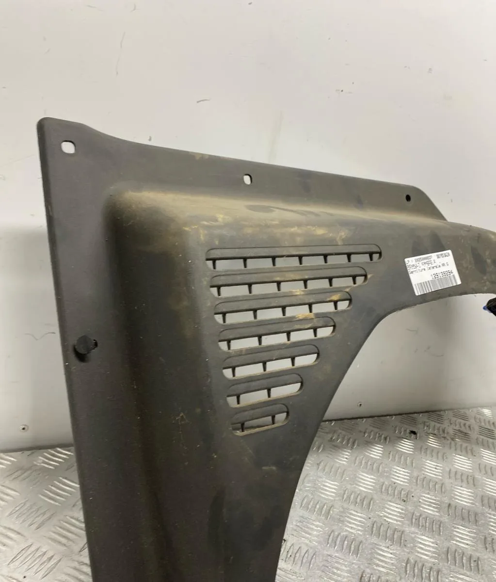 Protection porte arg RENAULT KANGOO 2 PHASE 2 occasion