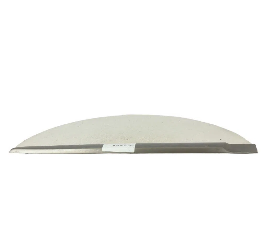 Protection porte arg RENAULT SCENIC 2 PHASE 1 occasion