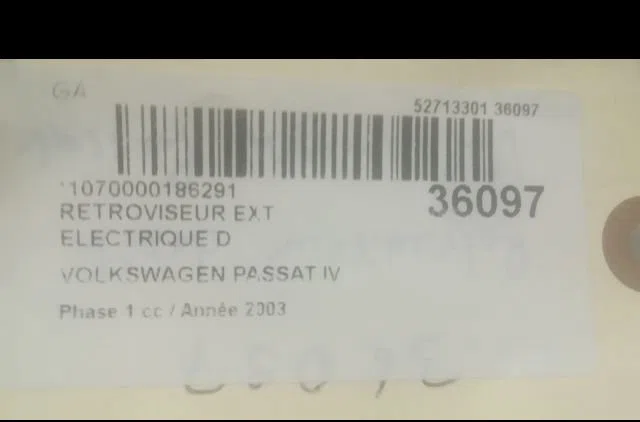 Retroviseur exterieur electrique droit Volkswagen PASSAT B5.5 (3B3) 1.9 tdi (2000-2005) occasion