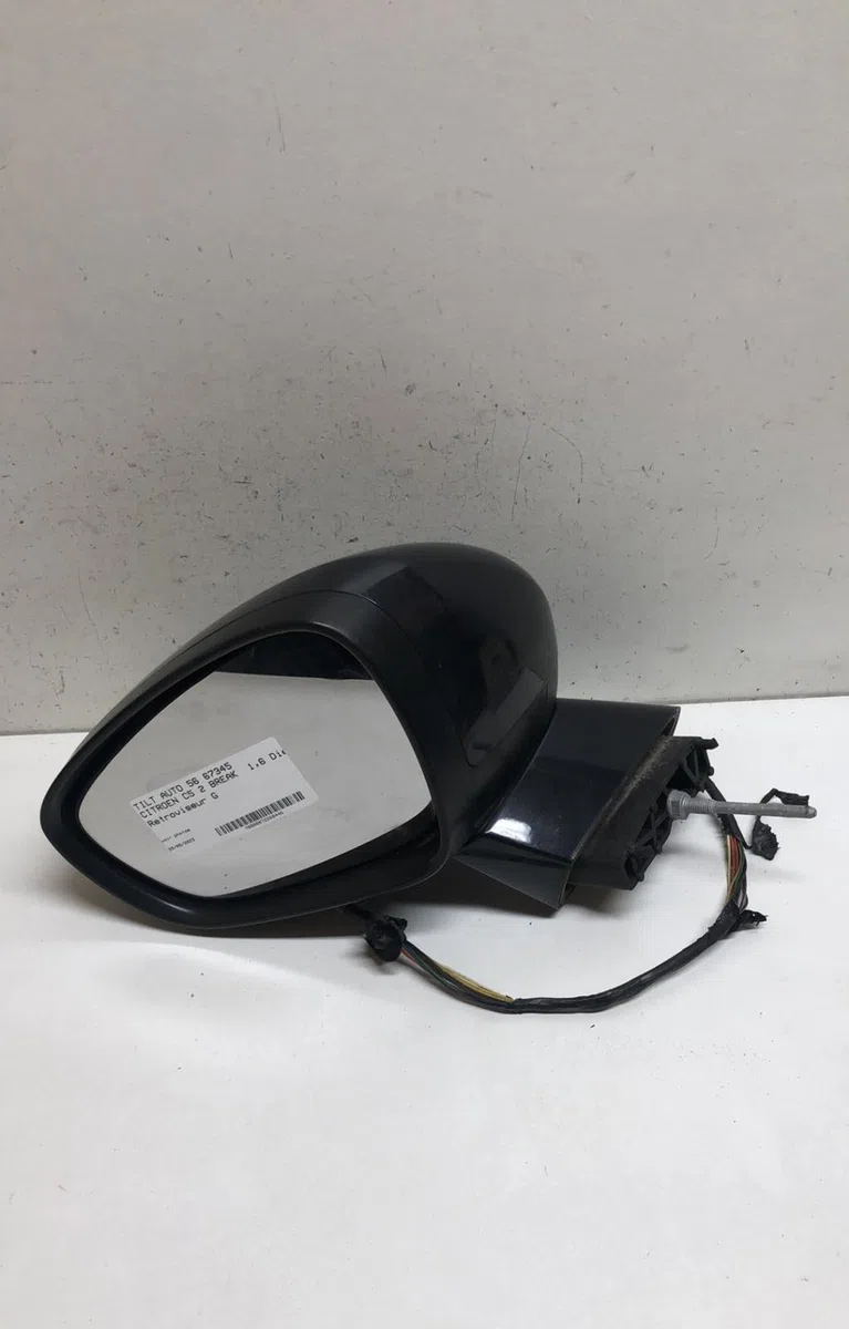 Retroviseur exterieur gauche Citroen C5 III Break (RW_) 1.6 hdi 110 (2008) 5 portes occasion