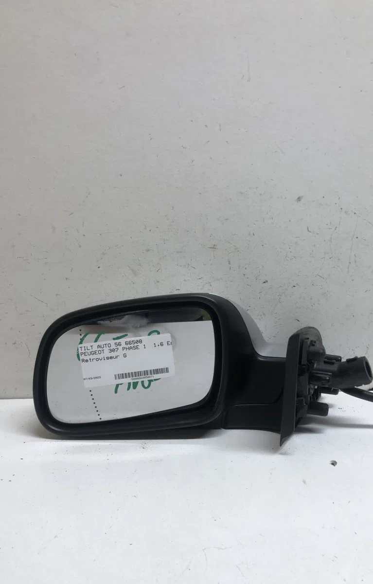 Retroviseur exterieur gauche Peugeot 307 (3A-C) 1.6 16v (2000-2007) 5 portes occasion
