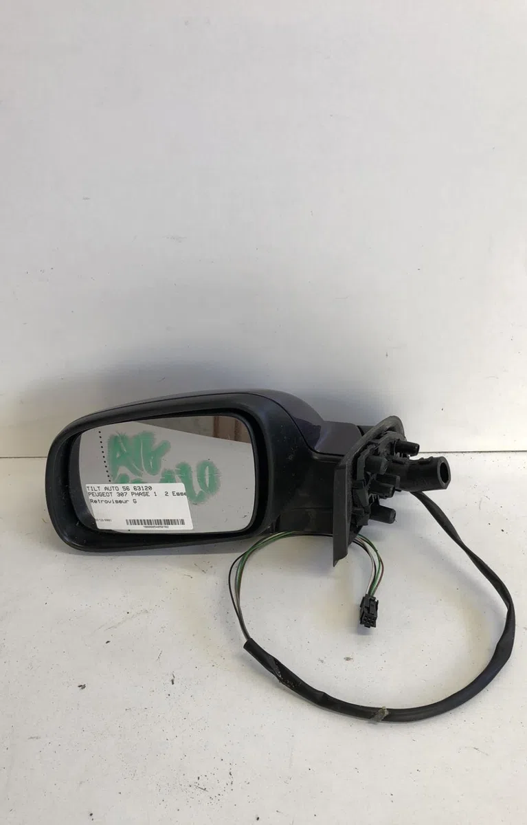Retroviseur exterieur gauche Peugeot 307 (3A-C) 2.0 16v (2000-2005) occasion