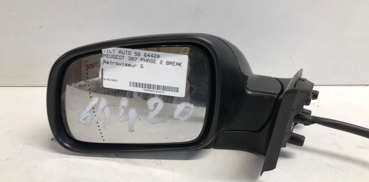 Retroviseur exterieur gauche Peugeot 307 Break (3E) 1.6 hdi 110 (2004-2008) 5 portes occasion
