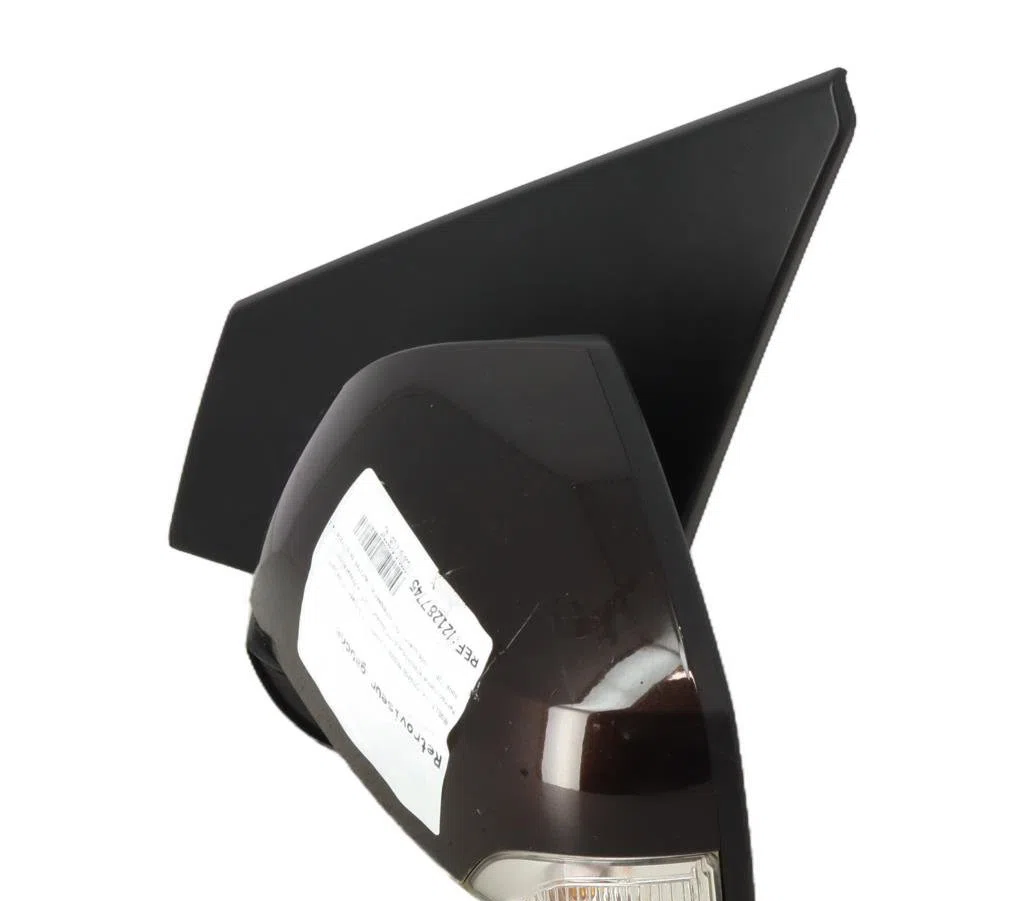 Retroviseur exterieur gauche Renault MEGANE III 3-5 portes (BZ0-1_, B3_) 1.9 dci (bz0n, bz0j) (2008) occasion