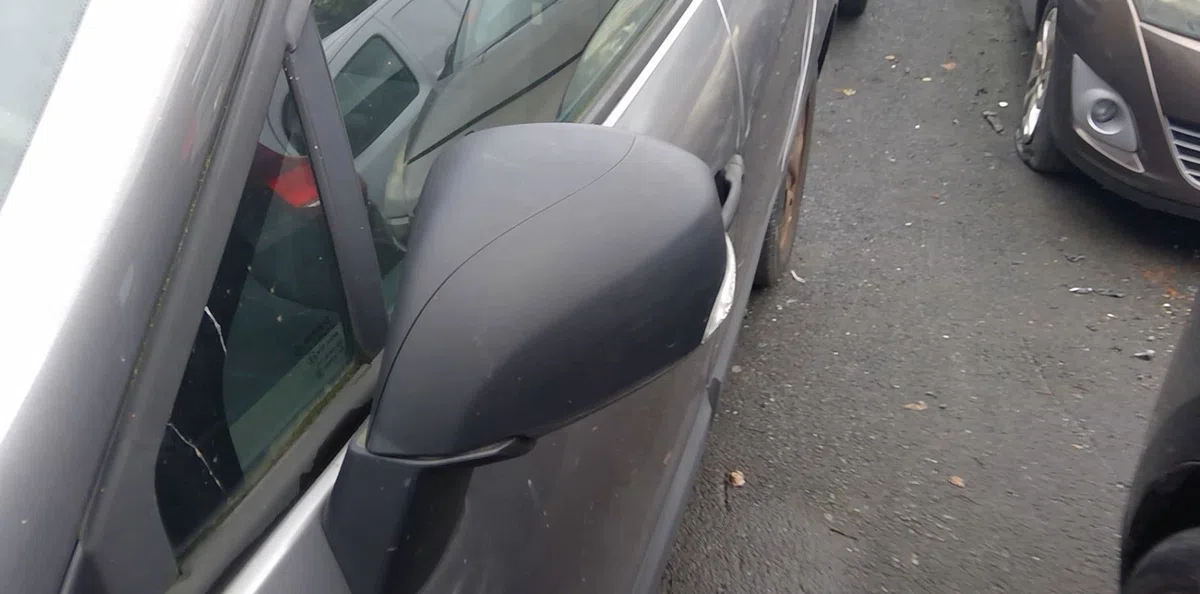 Retroviseur exterieur gauche RENAULT SCENIC 3  SCENIC 3 occasion